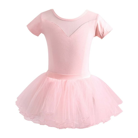 DHFJKG Kid Girls Ballet Skirted Leotard Toddler Short Sleeve Mesh Dance Tutu Dresses Size 1-15 Years Sweet Dresses