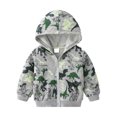 thumbnail image 1 of DHFJKG Toddler Child Zip Up Hoodies Jackets Dinosaur Printed Long Sleeve Hooded Sweatshirt Coat With Pockets For Boy Girl Comfort Outerwear, 1 of 3