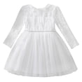 thumbnail image 1 of DHFJKG Winter Toddler Baby Girls Dresses Lace Embroidery Mesh Princess Ball Gown Long Sleeve Party Dress Casual Stylish Dresses, 1 of 9