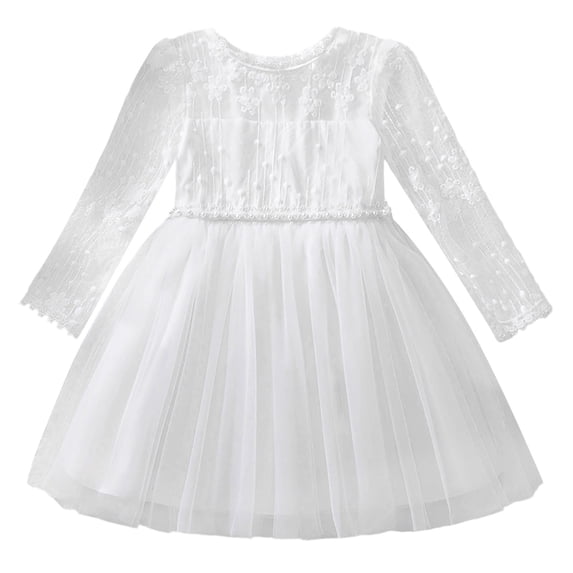 DHFJKG Winter Toddler Baby Girls Dresses Lace Embroidery Mesh Princess Ball Gown Long Sleeve Party Dress Casual Stylish Dresses