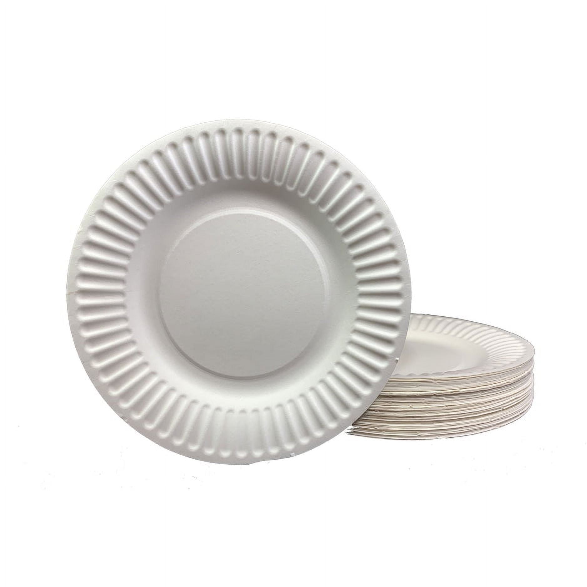 https://i5.walmartimages.com/seo/DHG-PROFESSIONAL-The-Green-Standard-6-Inch-Paper-Plates-Uncoated-White-100-Plates_e69b9495-d7ef-4c0c-8202-a9f88721648a.7fd99a5ba155328f2feb6577b43269ed.jpeg