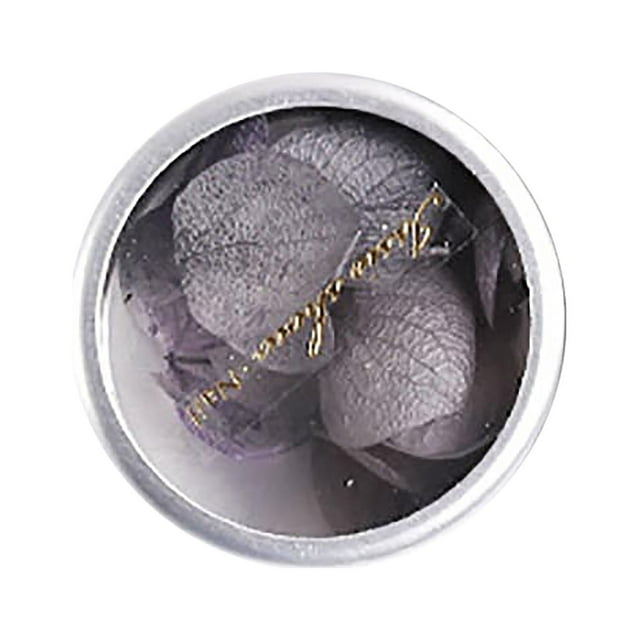 DHJHDSA Japanese style manicure material net red same dried flower