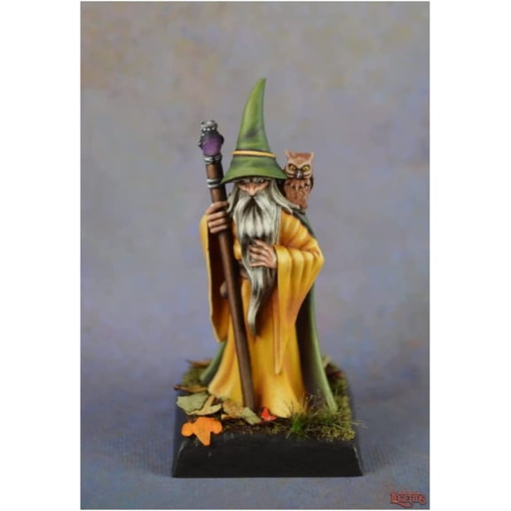 Anuminar Winterbeard Wizard Miniature 25mm Heroic Scale Dark Heaven Legends Reaper Miniatures