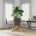 thumbnail image 1 of DHP Bentwood Dining Chair, Set of 2, Multiple Colors, 1 of 6