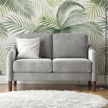 DHP DE04837 Embry 2-Seater Loveseat Sofa, Gray Velvet