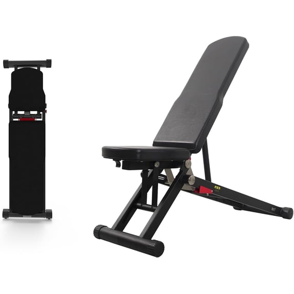 DHT B2 Weight Bench Workout Training Home Gym, 21 Adjustable Angles ...