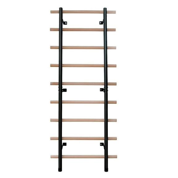 DHT Dynamic Health Tech WA2 Wall Mount Stall Bar Swedish Ladder