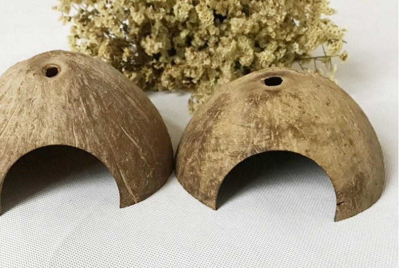 DIAEDGE 1 Set Hermit Crab Hideout Coconut Shell Shelter Hermit Crab Shells Reptile Hide Turtle Rest Hut Cave Habitat Hermit Crab Accessories