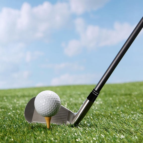 HEMOTON Golf Club Ferrules for Protection Use Durable and Wear Resistant Black Plastic Fits Center Shaft Mallet Putter Clubs 12 Pieces