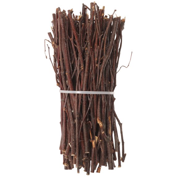 FUEENIRVA 1 Set of Birch Twigs Wood for Rustic Home Decoration Diy Crafts