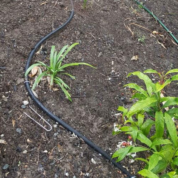FUEENIRVA U-Shaped Galvanized Metal Lawn Nails for Gardening, Ground Stakes, 50 Pieces Outdoor Use
