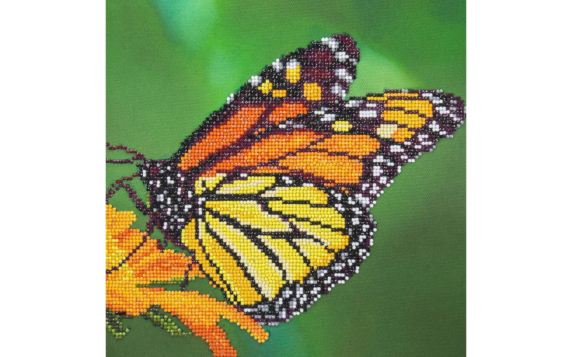Full Dimond 100% 5D DIY Diamond Painting Kit Full Drill Diamond Painting  Sets for Adult or Kid,Butterfly Pattern Diamond Embroidery