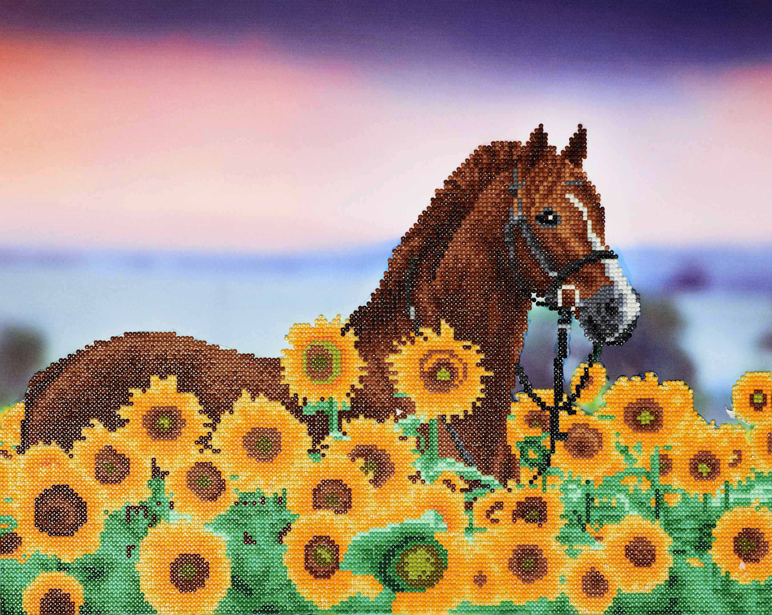Horse abstract animal, diamond painting diy kit ds886