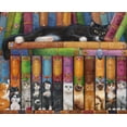 thumbnail image 1 of DIAMOND ART CLUB Cat Bookshelf Diamond Painting Kit, 1 of 7