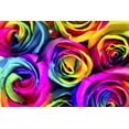 thumbnail image 1 of DIAMOND ART CLUB Rainbow Roses Diamond Painting Kit, 1 of 4