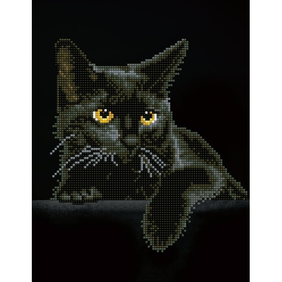 DIAMOND DOTZ Black Cat Special Edition Diamond Painting Kit