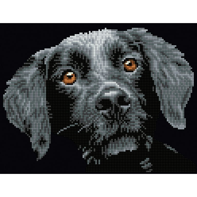 Diamond Painting DIY Dog Pet Portrait Black And White Style Design House  Display