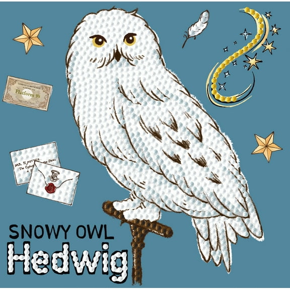 DIAMOND DOTZ Harry Potter Snowy Owl Hedwig Special Edition DOTZ Box Diamond Painting Kit