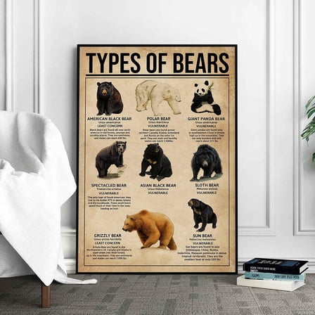 DIANANA Types Of Bears Poster: Educational Wall Art