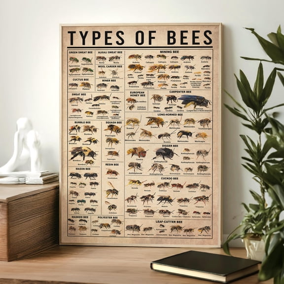 DIANANA Types Of Bees Vintage Poster, Bee Lover Gift, All About Bee, Vintage Knowledge Poster, Knowledge Art, Home Wall Art, Education Wall Decor