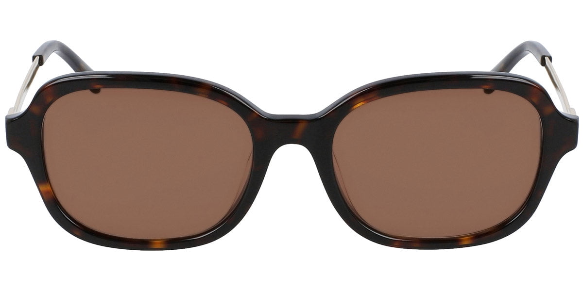Diane Von Furstenberg DVF Soft Tortoiseshell Sunglasses DVF X L.G.R Raffaello Sunglasses – Diane von Furstenberg main image 4