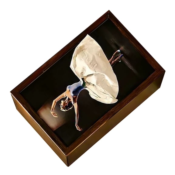 DICEWEN Ballet Themed Box For Storing Tissues And Small Items Napkin Organizer