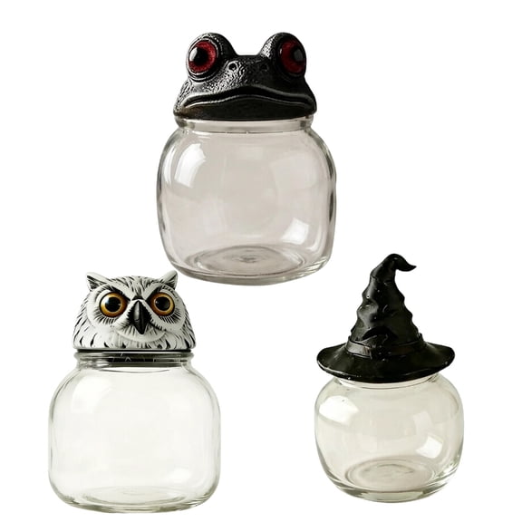 DICEWEN Handcrafted Witch Frogs Apothecary Spice Jars Unique Witchcore Home Decors