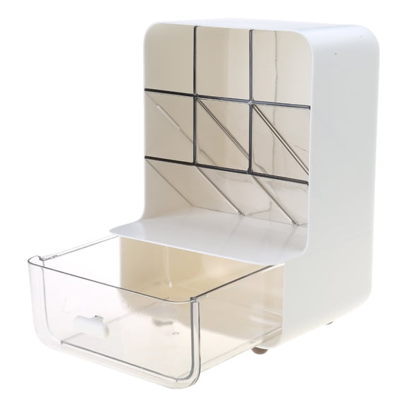 DICEWEN Tilt Pencil Holder for Students Large Capacity Desktop Stationery Storage Box