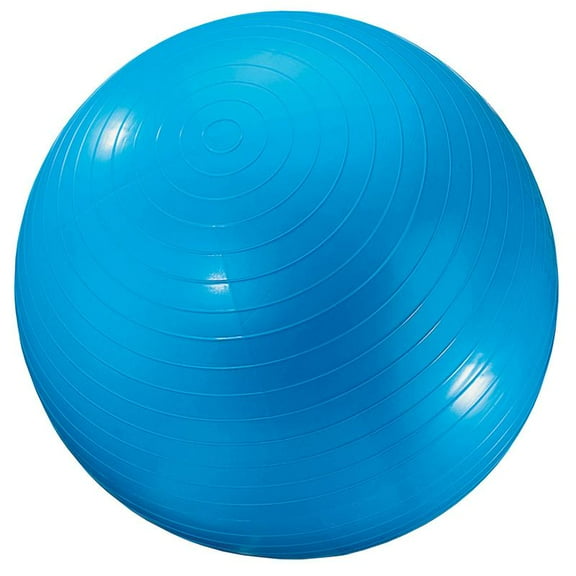 DICK MARTIN SPORTS Exercise Ball 24In Blue