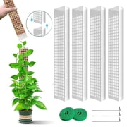 DIDADI 4 Pcs 24 Inch Plastic Moss Pole D-Shaped Climbing Plant Support Works with Sphagnum Moss