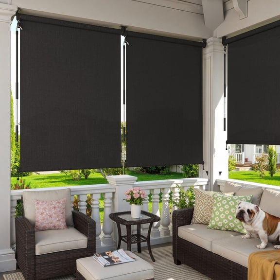 DIFY 4' x 6' Outdoor Roller Shade, Cordless Patio Blinds for Porch Pergola Balcony Deck Windows, Black