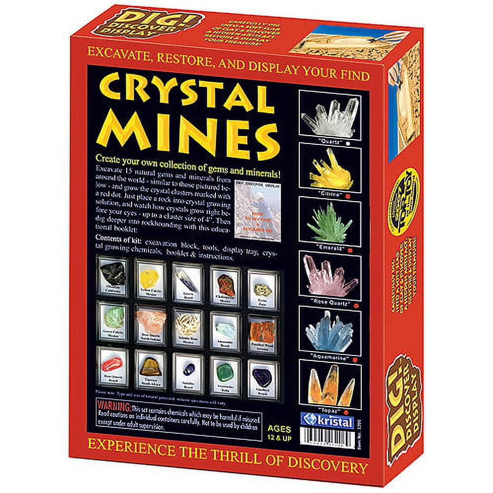 DIG! and DISCOVER: Premier Edition - Walmart.com