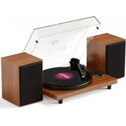 DIGITNOW Vinyl Record Player, Supports Vinyl to MP3 Function/Phono Preamp/Aux-in/RCA Output