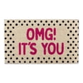 thumbnail image 1 of DII Natural Coir Doormat, Fun Greeting Mat, OMG! It's You, 17x29", 1 of 2