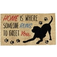 thumbnail image 1 of DII Pet Print Collection Natural Coir Doormat, 17x29", Home Dog, 1 of 3