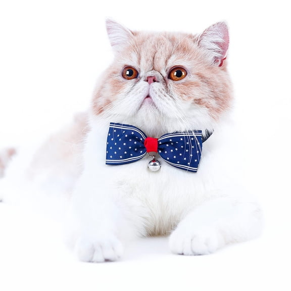 DINHEAROM 6 Dark Blue Pet Fashion Bowknot Cat Collar With Bell and Dot Pattern for Walking Cats 12x1.6x0.6in