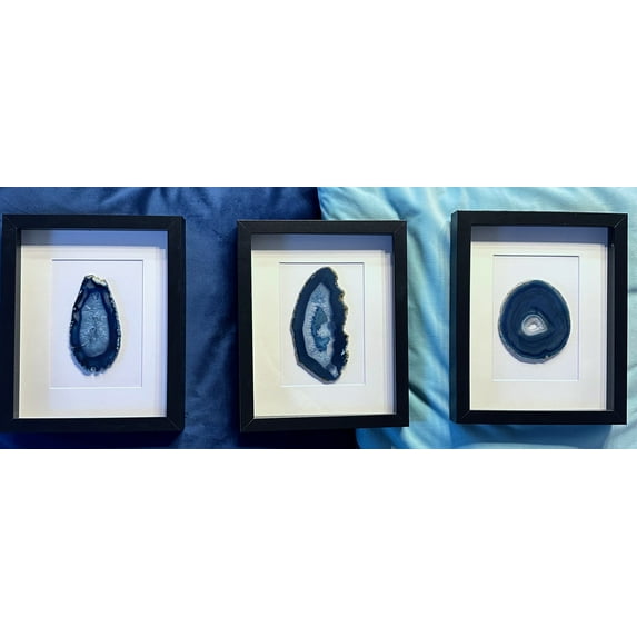 DINOSAURS ROCK Vivid Blue-Dyed Sliced Brazilian Agate Art in Ebony Wood Shadow Box - 8" x 10"