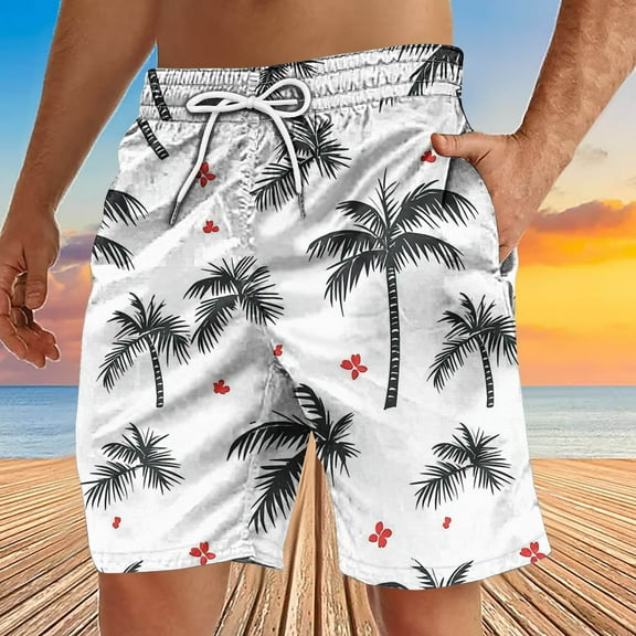 DIOAZUD Beach Swimming Trunks for Men Big and Tall Hawaiian Beach Shorts Quick Dry Bathing Suit Drawstring Elastic Waist Board Shorts for Men Swim Trunks with Pockets