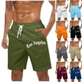 thumbnail image 1 of DIOAZUD Men Swim Shorts Big and Tall Drawstring Waist Swimming Trunks Lightweight Beach Athletic Board Shorts with Pockets, 1 of 5