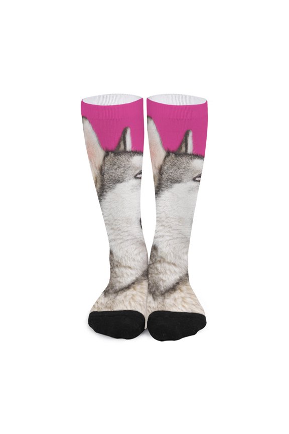 Cute Alaskan Malamute Print Long Socks