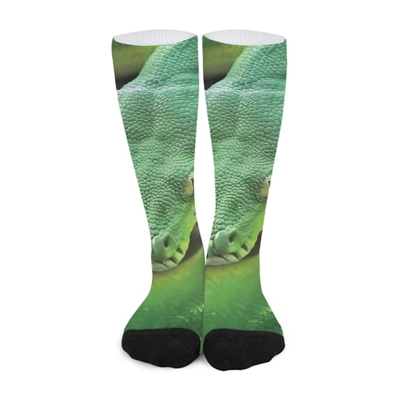 DIQADILA Green Reticulated Python Snake Print Long Socks
