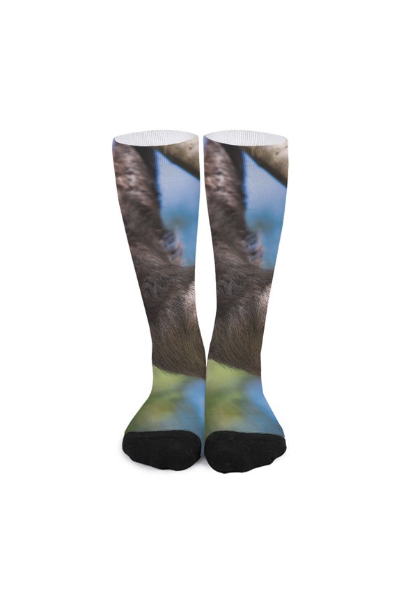 Happy Sloth Print Long Socks