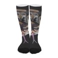 thumbnail image 1 of DIQADILA Python Snake Print Long Socks, 1 of 3