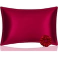 thumbnail image 1 of DISANGNI 100% Mulberry Silk Silk Pillowcase, Used for Hair and Skin, Envelope Type, Silk on one Side and Tencel on The Other Side, 1pc (Red Wine, 1 pc King Size 20"36"), 1 of 7