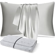 DISANGNI 100% Natural Mulberry Silk Pillow case for Hair and Skin with Hidden Zipper 22 Momme Both Sides Real Silk Pillow Case (1pc Standard Size 20" x26", Ligh
