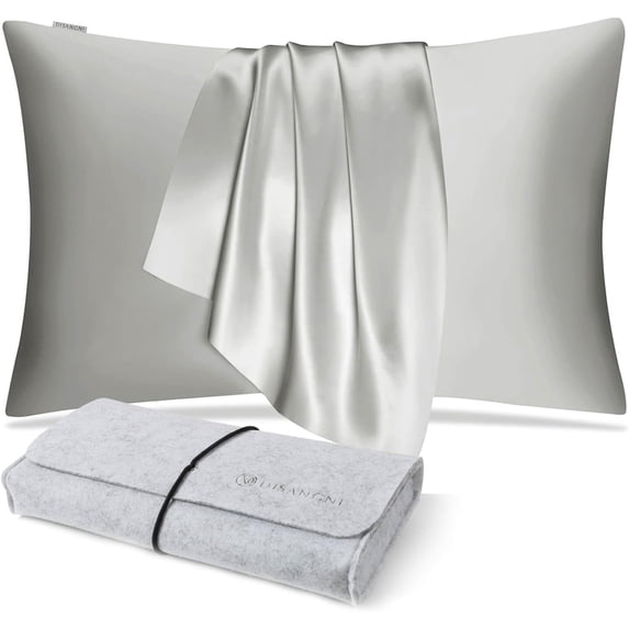 DISANGNI 100% Natural Mulberry Silk Pillow case for Hair and Skin with Hidden Zipper 22 Momme Both Sides Real Silk Pillow Case (1pc Standard Size 20" x26", Light Grey)
