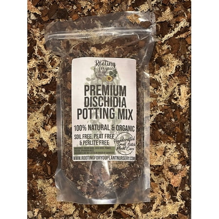 DISCHIDIA Premium Potting Mix