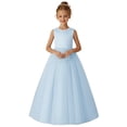 thumbnail image 1 of DISKEBUISS Children's Princess Dress Dressy Round Neck Sleeveless Mesh Tulle Gown for Birthday Parties & Family Gatherings, 1 of 5