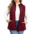 thumbnail image 1 of DISKEBUISS Plus Size Quilted Puffer Vest for Women Stand Collar Sleeveless Zip Up Gilet with Pockets for Fall Winter, 1 of 7