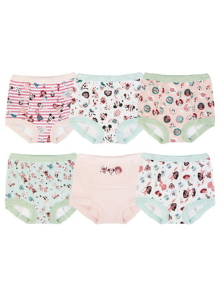 Minnie Mouse Underwear Underpants Toddler Girls 3 Panty Pk 2T-3T 4T Disney  NIP 